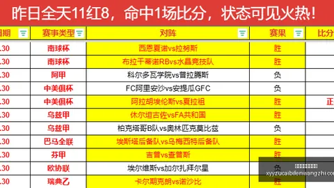 实战攻略精，足球赛事资讯，准匹配模型应用指南